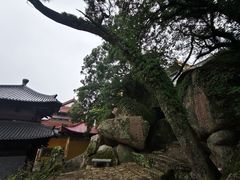 -青芝山风景名胜区