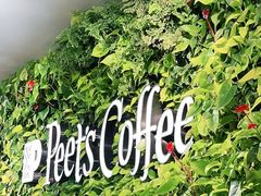 -Peet's Coffee皮爷咖啡(大学路店)