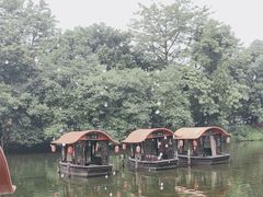 -侨美·唐荔园·40年地道粤菜