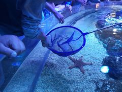 -成都浩海立方海洋公园