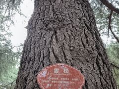 -济南南郊宾馆