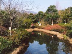 -苏州环秀晓筑养生度假村