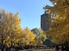 -玲珑塔公园