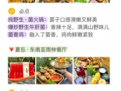 -西双版纳原始森林公园