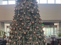 -天津海河悦榕庄·Lobby Lounge大堂吧