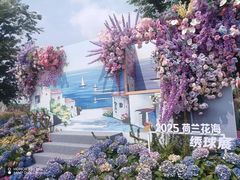 -荷兰花海