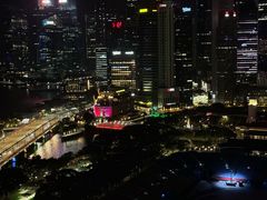 -新加坡瑞士史丹福酒店