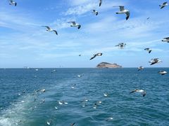 -海驴岛(荣成市)