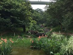 -飞凤山奥体公园