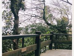 -桃花岛风景旅游区