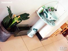 洗手-田记宫廷奶酪