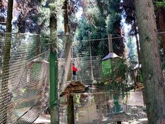 -武陵山森林公园