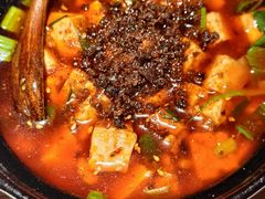 -陈麻婆豆腐(旗舰店)