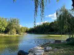 -三忘湖 SWANSEEN(柳荫公园店)