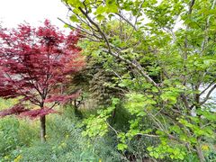 -南汇桃花村