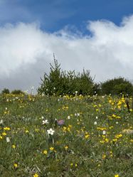 -雅云婚纱摄影工作室旗舰店