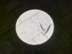 -见山茶事(丽水路店)