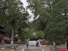 -大觉寺-停车场