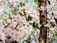 -白塘生态植物园