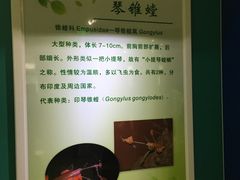 -上海昆虫博物馆