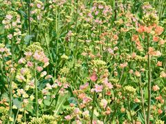 -临平南高铁站(地铁站)