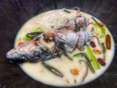 -鲜潭蒸汽石锅鱼(五道口购物中心店)
