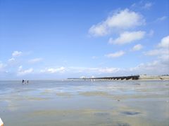 -红树林天天赶海