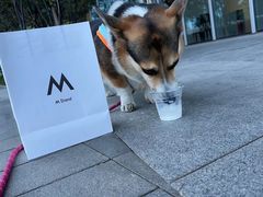 -M Stand(北京平安幸福中心店)