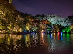 -桂林两江四湖景区