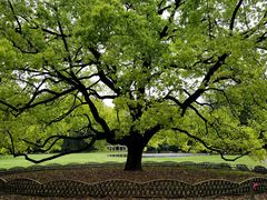 -共青国家森林公园-售票处