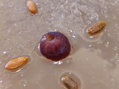 -东海朗廷酒店-唐阁T’ANG COURT 中餐厅