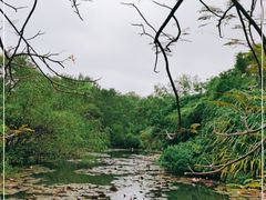 -白沙门生态公园