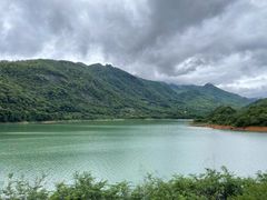 -广州市流溪河国家森林公园