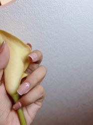-指典艺术美甲美睫