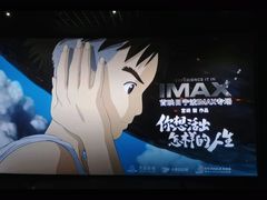 -万达影城(江北万达广场IMAX店)