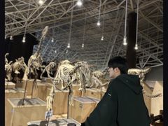 -世界恐龙谷景区