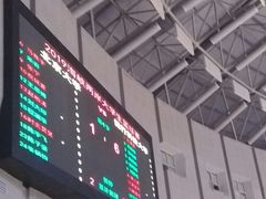 -福建省奥林匹克体育中心-体育馆