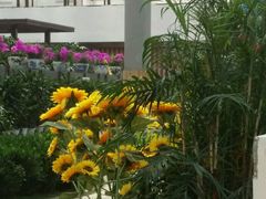 -天源吉布世温泉水乐园