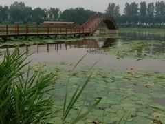-白洋淀景区