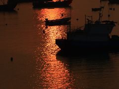 -枸杞岛
