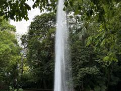 -九龙公园