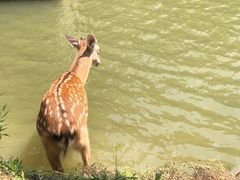 -苏州太湖国家湿地公园
