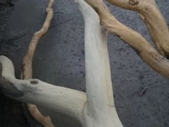 -兰陵国家农业公园