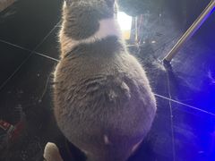 -暗楼·剧本杀·桌游