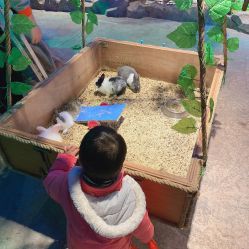 -酷嗒动物文化乐园(cutezoo西溪乐天城店)