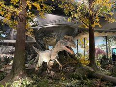 -湖南省地质博物馆