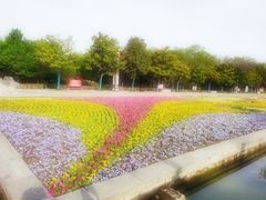 -洛阳市隋唐城遗址植物园