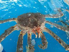 -清水湾3号(东方小周海鲜店)