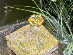 -美心西饼mx cakes(猎德优托邦店)