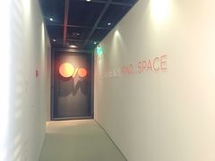 -Space(三里屯太古里馆)